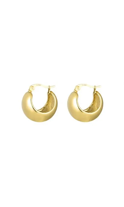 Ela oorbel goud