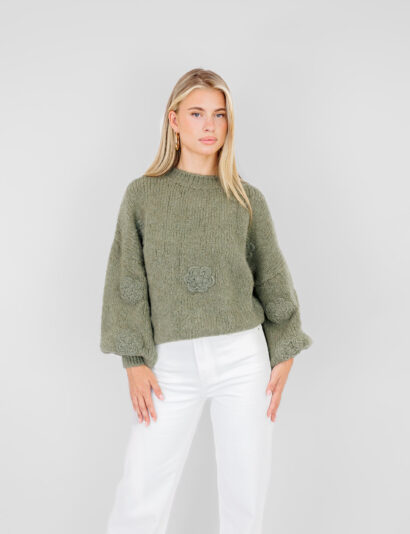 Alternative view of Evi trui groen