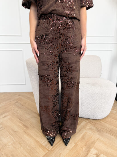 Alternative view of Alara pailletten broek bruin