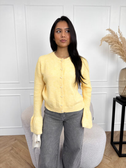 Alternative view of Dana trui geel