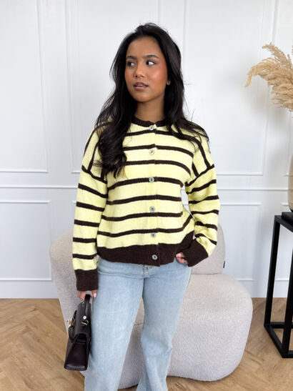 Demi streep trui geel